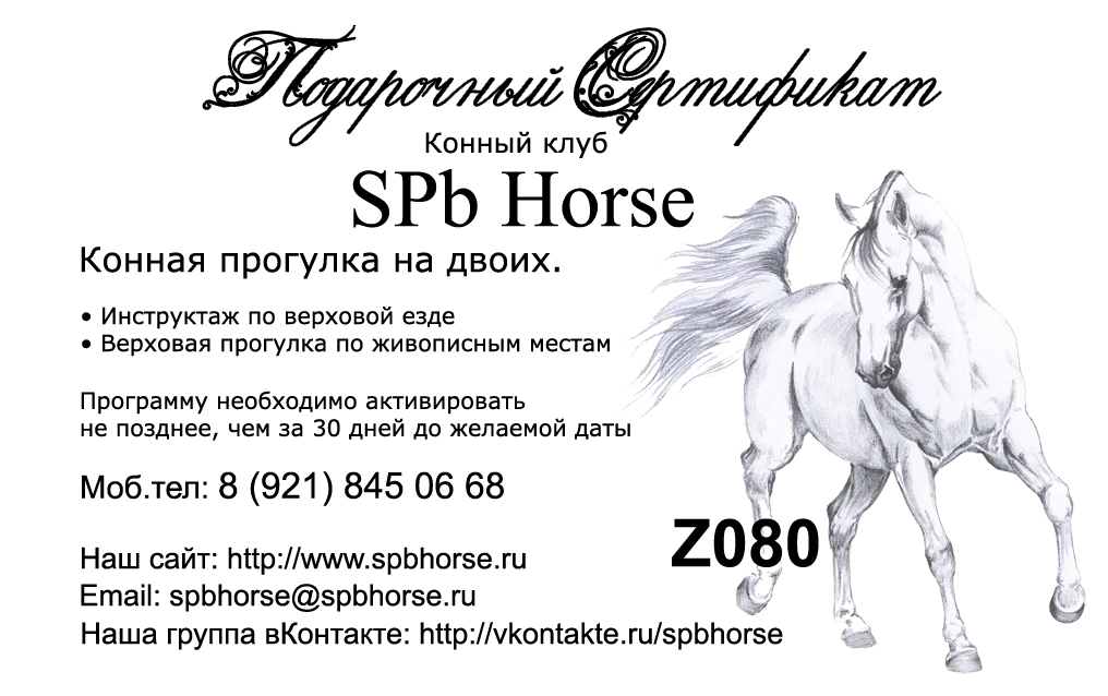 Кск объявления работа. Визитка лошадь. Конный сертификат. Подарочный сертификат лошади. Сертификат на прогулку на лошадях.